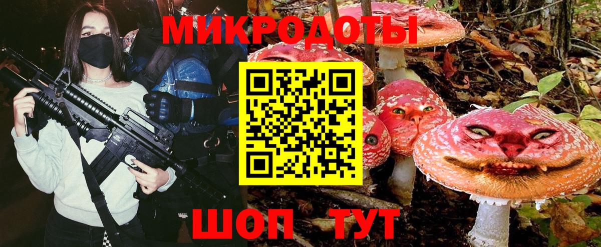 Галлюциногенные грибы MAGIC MUSHROOMS Камышлов