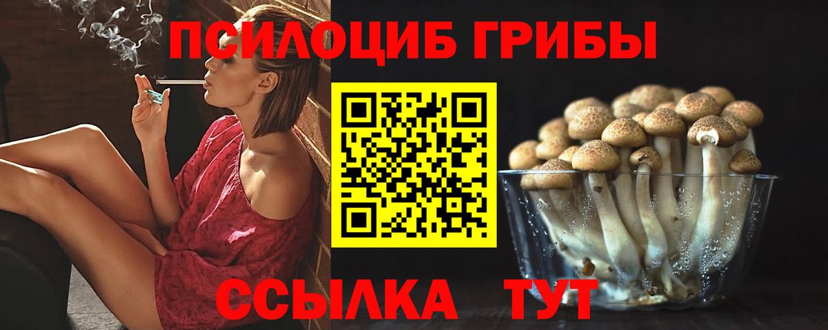 Камышлов  Псилоцибиновые грибы MAGIC MUSHROOMS  Вход с VPN 